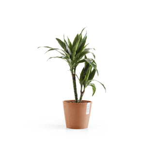 Kruka Amsterdam 20cm terrakotta