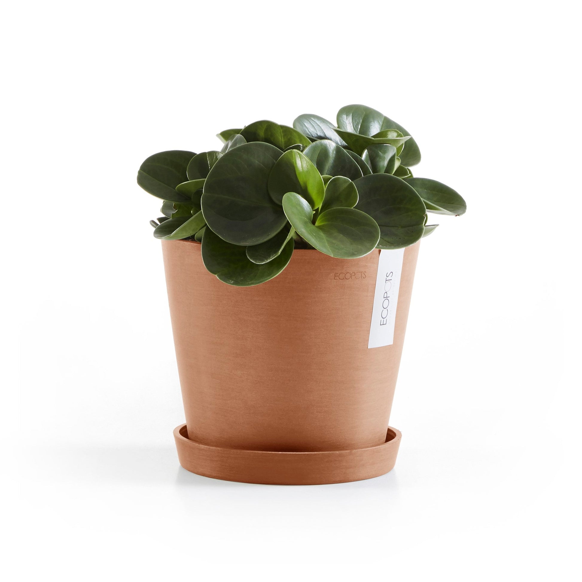 Kukkaruukku - Ecopots - Amsterdam 20cm terracotta - Ecopotskauppa - Uuden aikakauden kukkaruukku