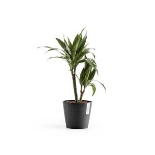 Kruka Amsterdam 20cm mörkgrå