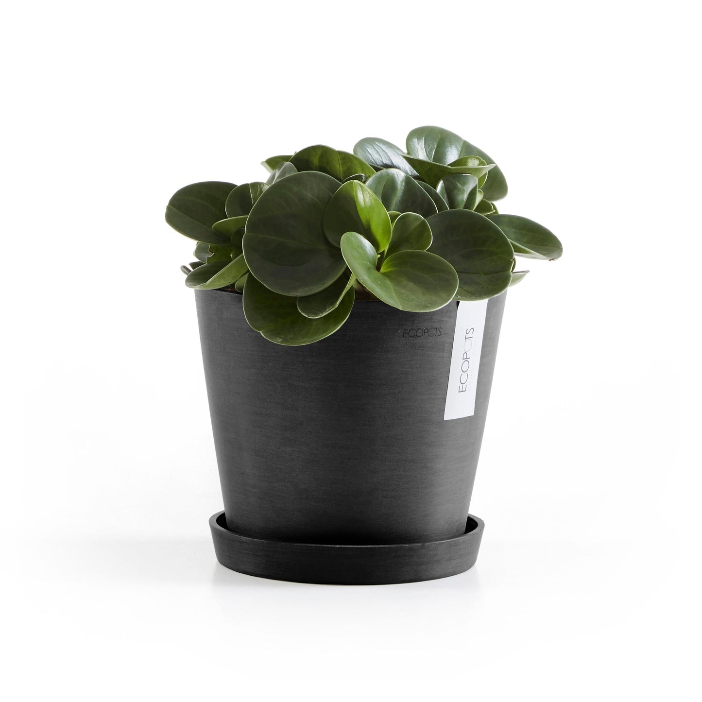 Kukkaruukku - Ecopots - Amsterdam 20cm tummanharmaa - Ecopotskauppa - Uuden aikakauden kukkaruukku