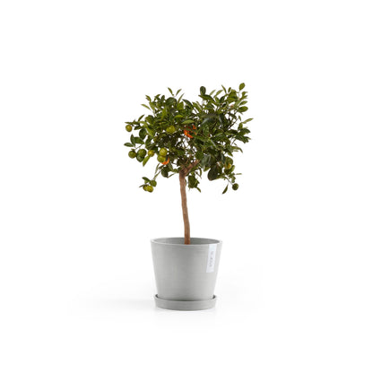Kukkaruukku - Ecopots - Amsterdam 20cm valkoharmaa - Ecopotskauppa - Uuden aikakauden kukkaruukku