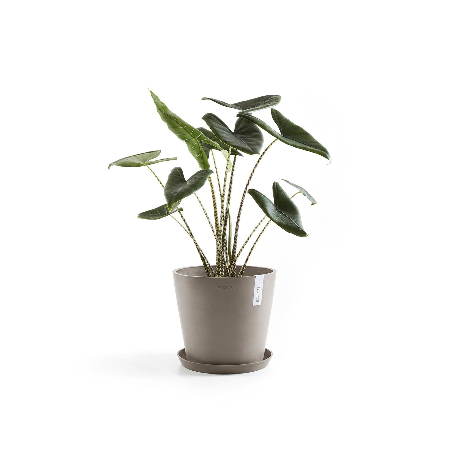 Kukkaruukku - Ecopots - Amsterdam 25cm taupe - Ecopotskauppa - Uuden aikakauden kukkaruukku