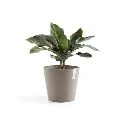 Kukkaruukku Amsterdam 25cm taupe – kasvin kanssa