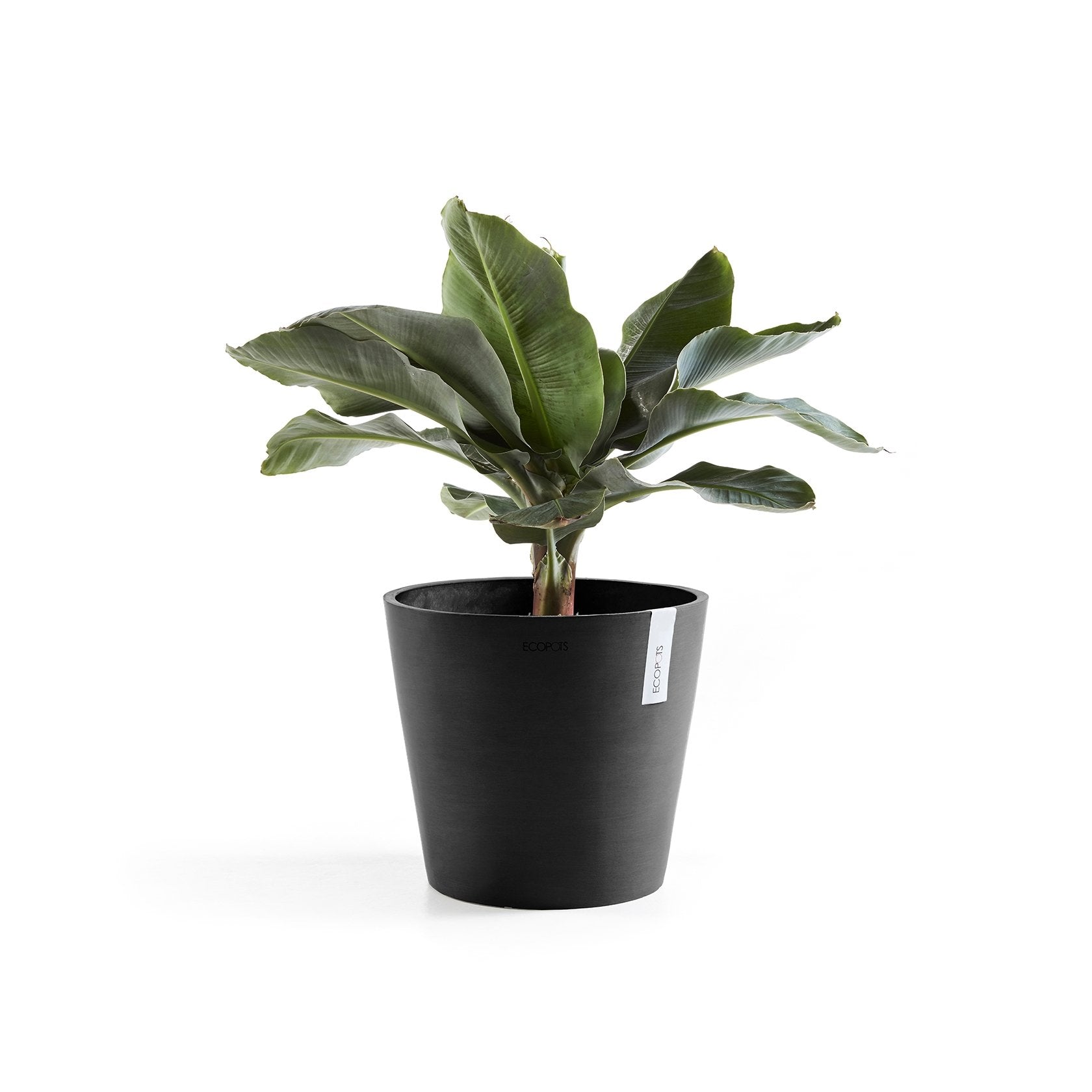 Kukkaruukku - Ecopots - Amsterdam 25cm tummanharmaa - Ecopotskauppa - Uuden aikakauden kukkaruukku