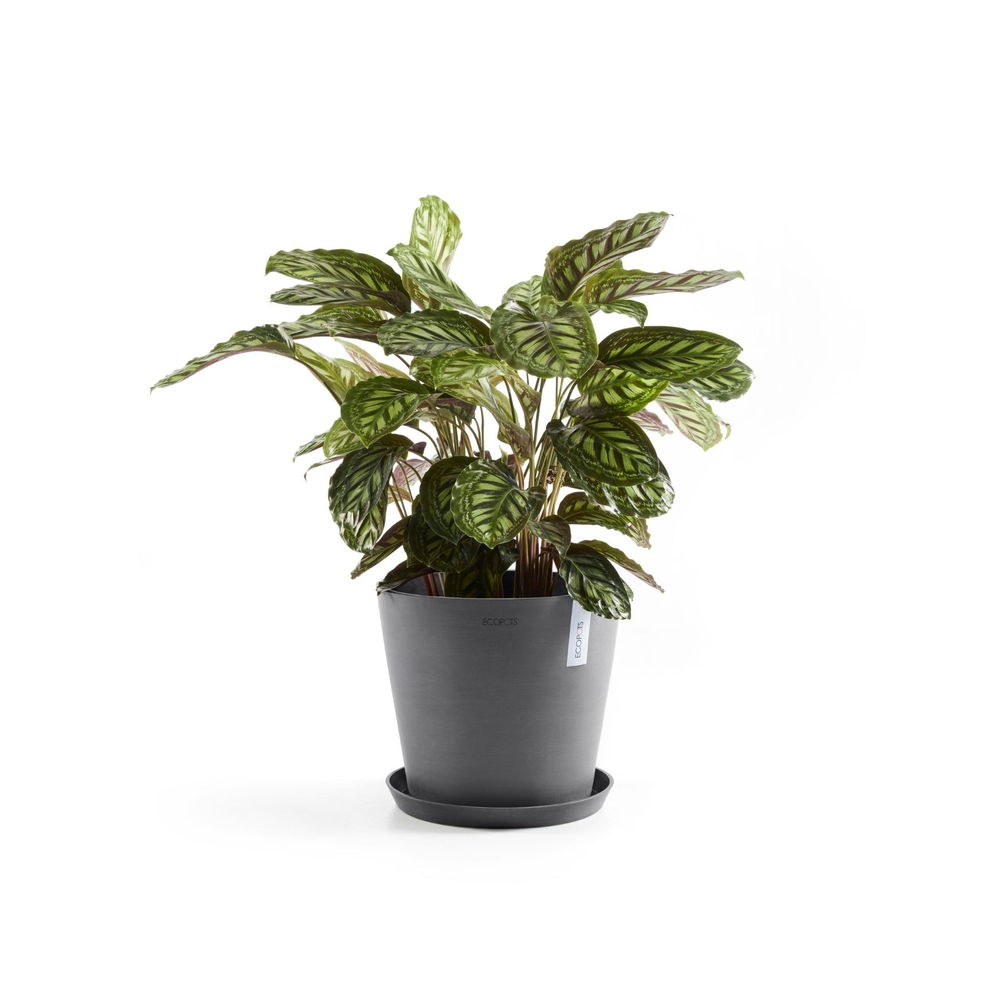 Kukkaruukku - Ecopots - Amsterdam 30cm harmaa - Ecopotskauppa - Uuden aikakauden kukkaruukku