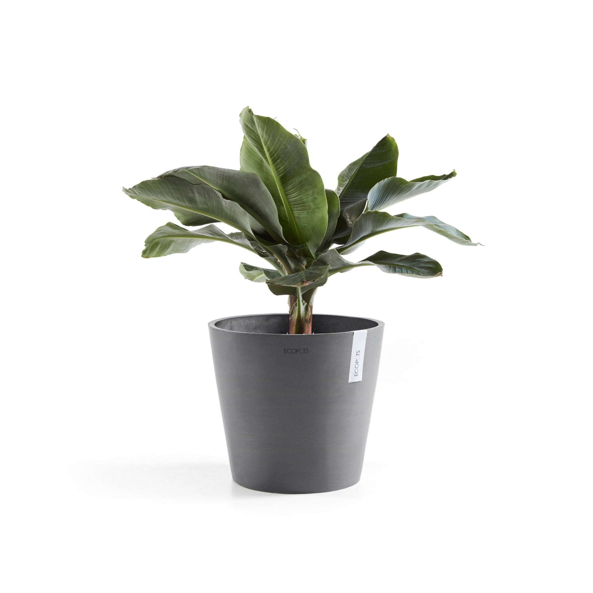 Kukkaruukku - Ecopots - Amsterdam 30cm harmaa - Ecopotskauppa - Uuden aikakauden kukkaruukku