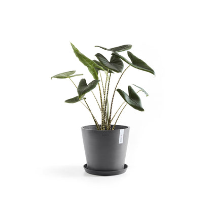 Kukkaruukku - Ecopots - Amsterdam 30cm harmaa - Ecopotskauppa - Uuden aikakauden kukkaruukku