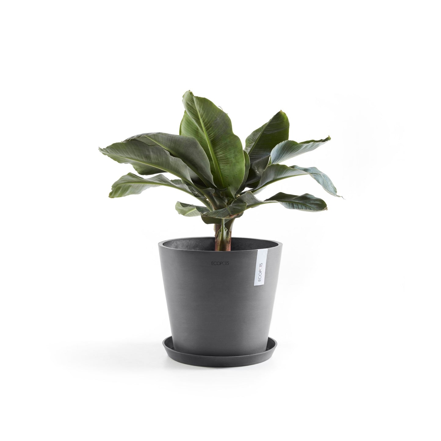 Kukkaruukku - Ecopots - Amsterdam 30cm harmaa - Ecopotskauppa - Uuden aikakauden kukkaruukku