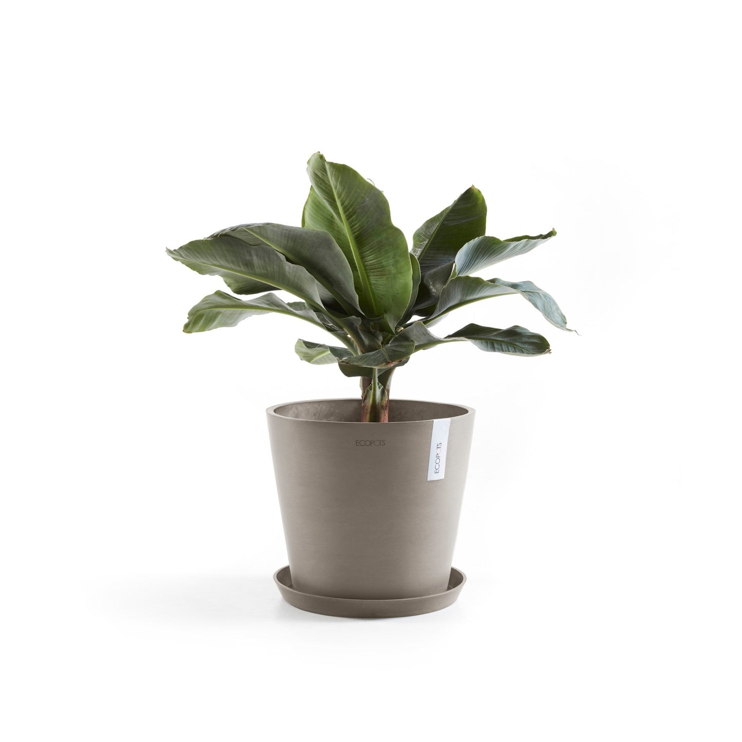 Kukkaruukku - Ecopots - Amsterdam 30cm taupe - Ecopotskauppa - Uuden aikakauden kukkaruukku