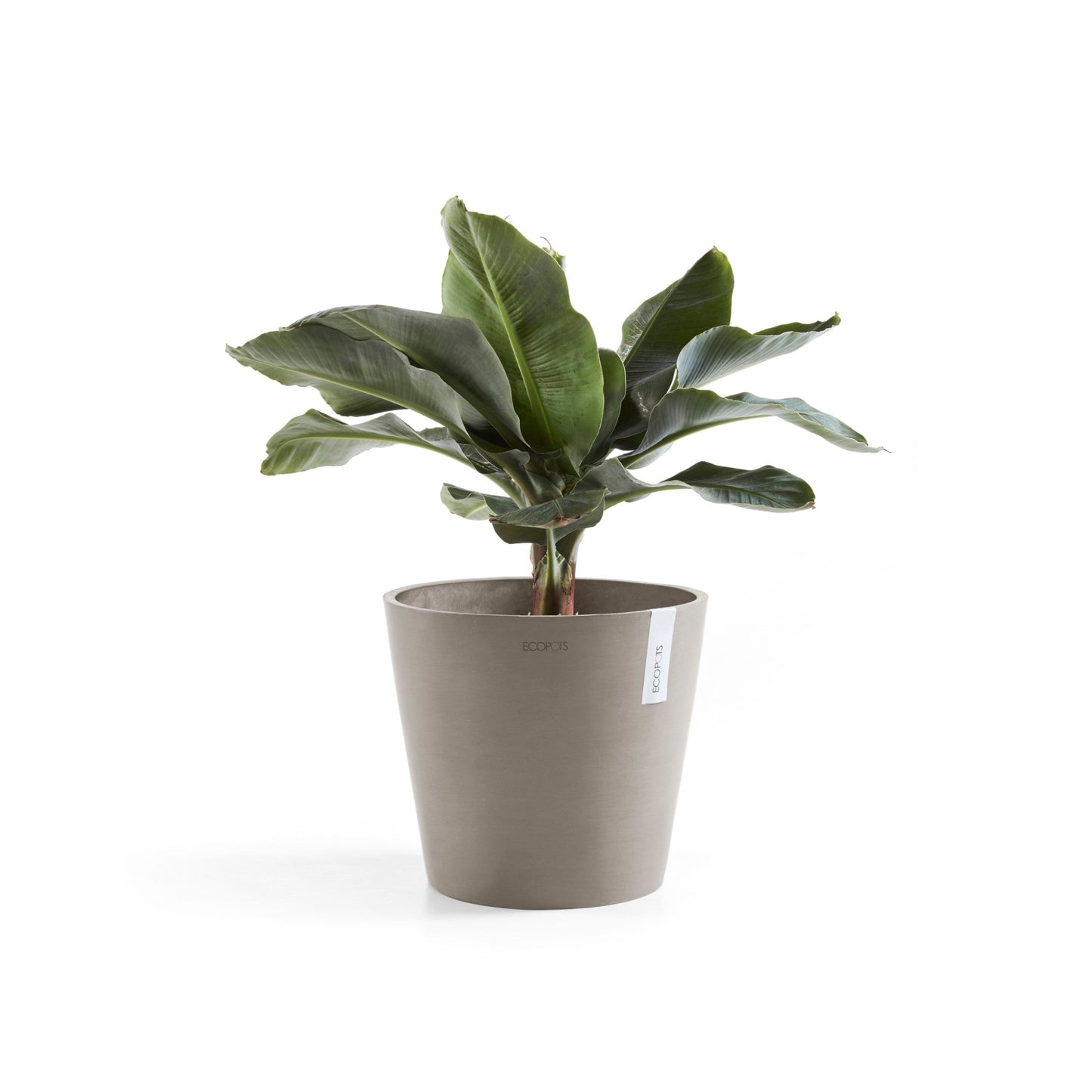 Kukkaruukku - Ecopots - Amsterdam 30cm taupe - Ecopotskauppa - Uuden aikakauden kukkaruukku