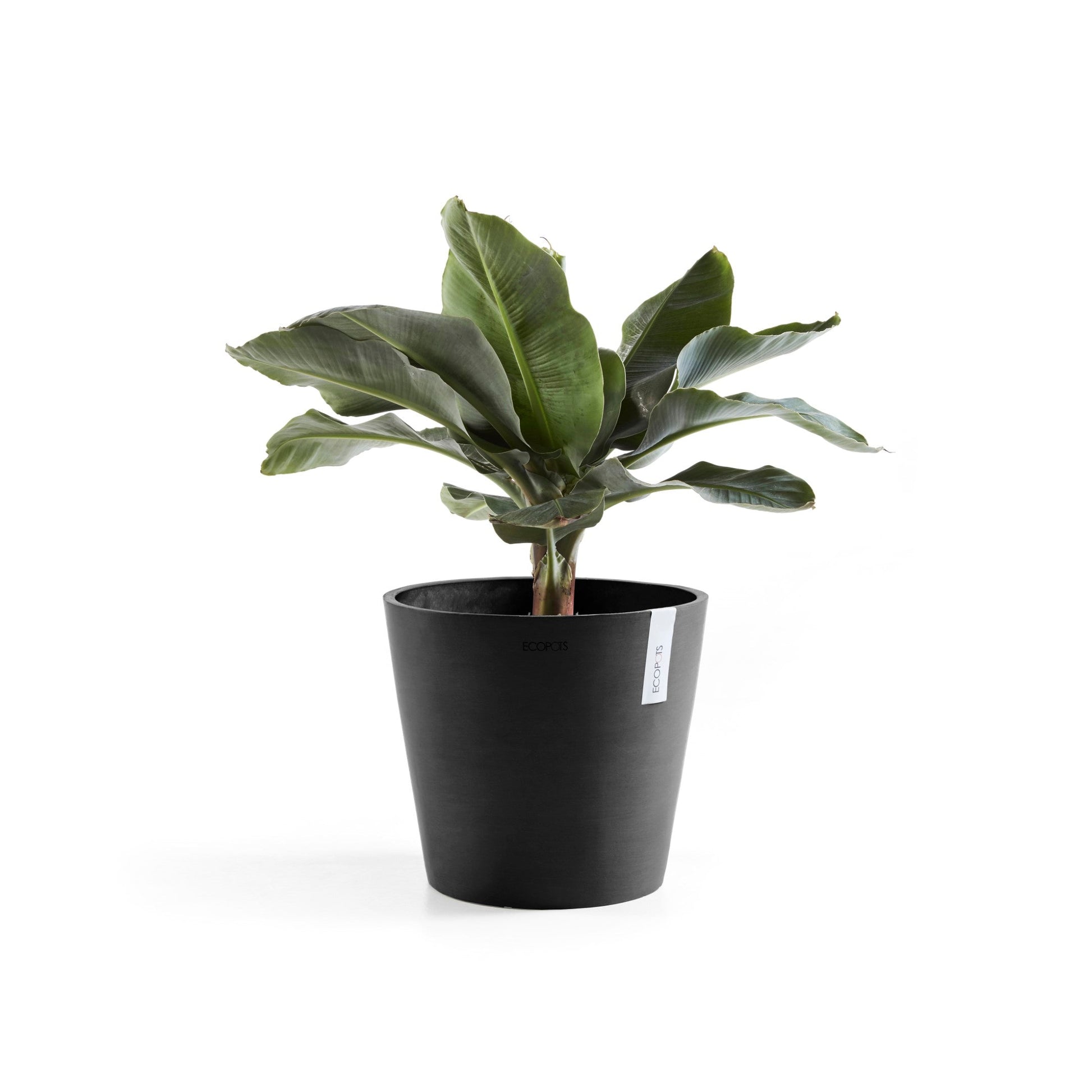 Kukkaruukku - Ecopots - Amsterdam 30cm tummanharmaa - Ecopotskauppa - Uuden aikakauden kukkaruukku