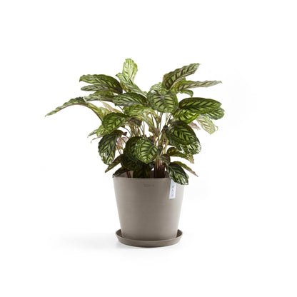 Kukkaruukku - Ecopots - Amsterdam 40cm taupe - Ecopotskauppa - Uuden aikakauden kukkaruukku