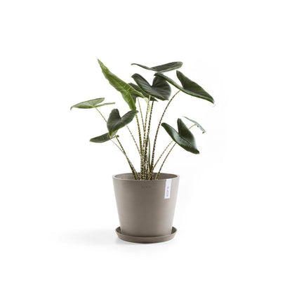 Kukkaruukku - Ecopots - Amsterdam 40cm taupe - Ecopotskauppa - Uuden aikakauden kukkaruukku