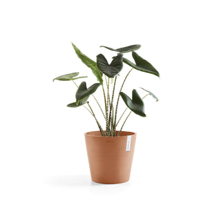 Kruka Amsterdam 40cm terrakotta