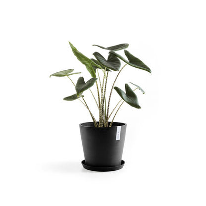 Kukkaruukku - Ecopots - Amsterdam 40cm tummanharmaa - Ecopotskauppa - Uuden aikakauden kukkaruukku