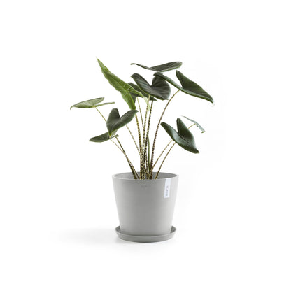 Kukkaruukku - Ecopots - Amsterdam 40cm valkoharmaa - Ecopotskauppa - Uuden aikakauden kukkaruukku