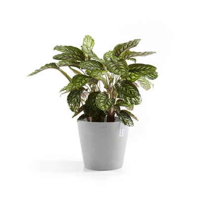 Kukkaruukku - Ecopots - Amsterdam 40cm valkoharmaa - Ecopotskauppa - Uuden aikakauden kukkaruukku