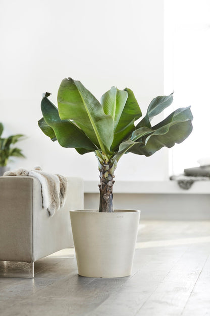 Kukkaruukku - Ecopots - Amsterdam 40cm valkoharmaa - Ecopots - Uuden aikakauden kukkaruukku kierrätysmateriaalista