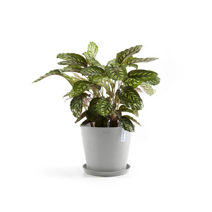 Kukkaruukku - Ecopots - Amsterdam 40cm valkoharmaa - Ecopotskauppa - Uuden aikakauden kukkaruukku