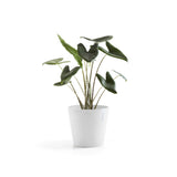 Kruka Amsterdam 40cm vit