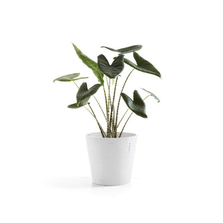 Kruka Amsterdam 40cm vit