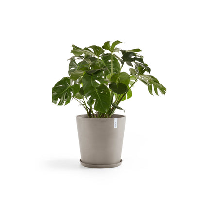 Kukkaruukku - Ecopots - Amsterdam 50cm taupe - Ecopotskauppa - Uuden aikakauden kukkaruukku
