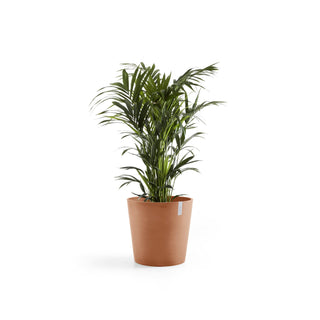 Kruka Amsterdam 50cm terrakotta