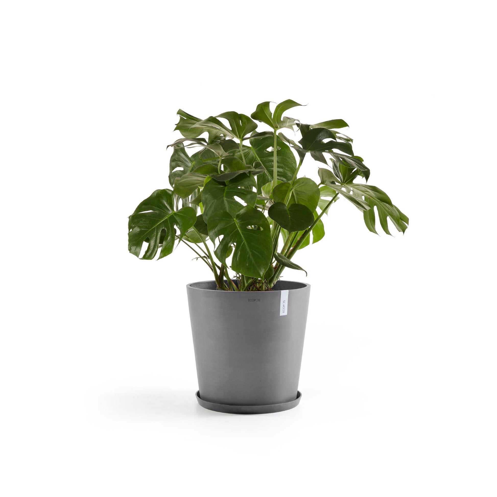 Kukkaruukku - Ecopots - Amsterdam 60cm harmaa - Ecopotskauppa - Uuden aikakauden kukkaruukku