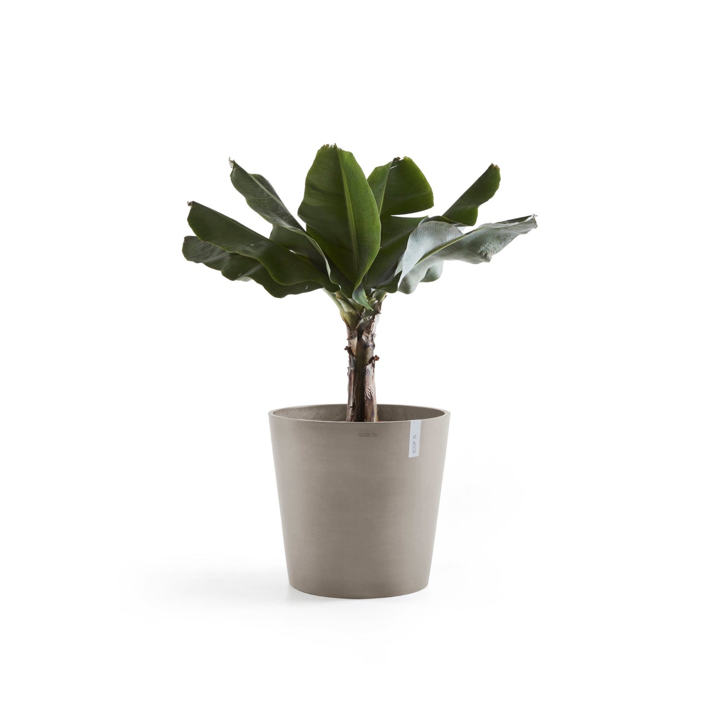 Kukkaruukku - Ecopots - Amsterdam 60cm taupe - Ecopotskauppa - Uuden aikakauden kukkaruukku