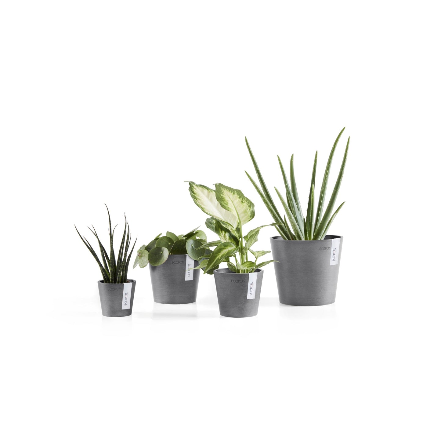 Kukkaruukku - Ecopots - Amsterdam 8cm harmaa - Ecopotskauppa - Uuden aikakauden kukkaruukku