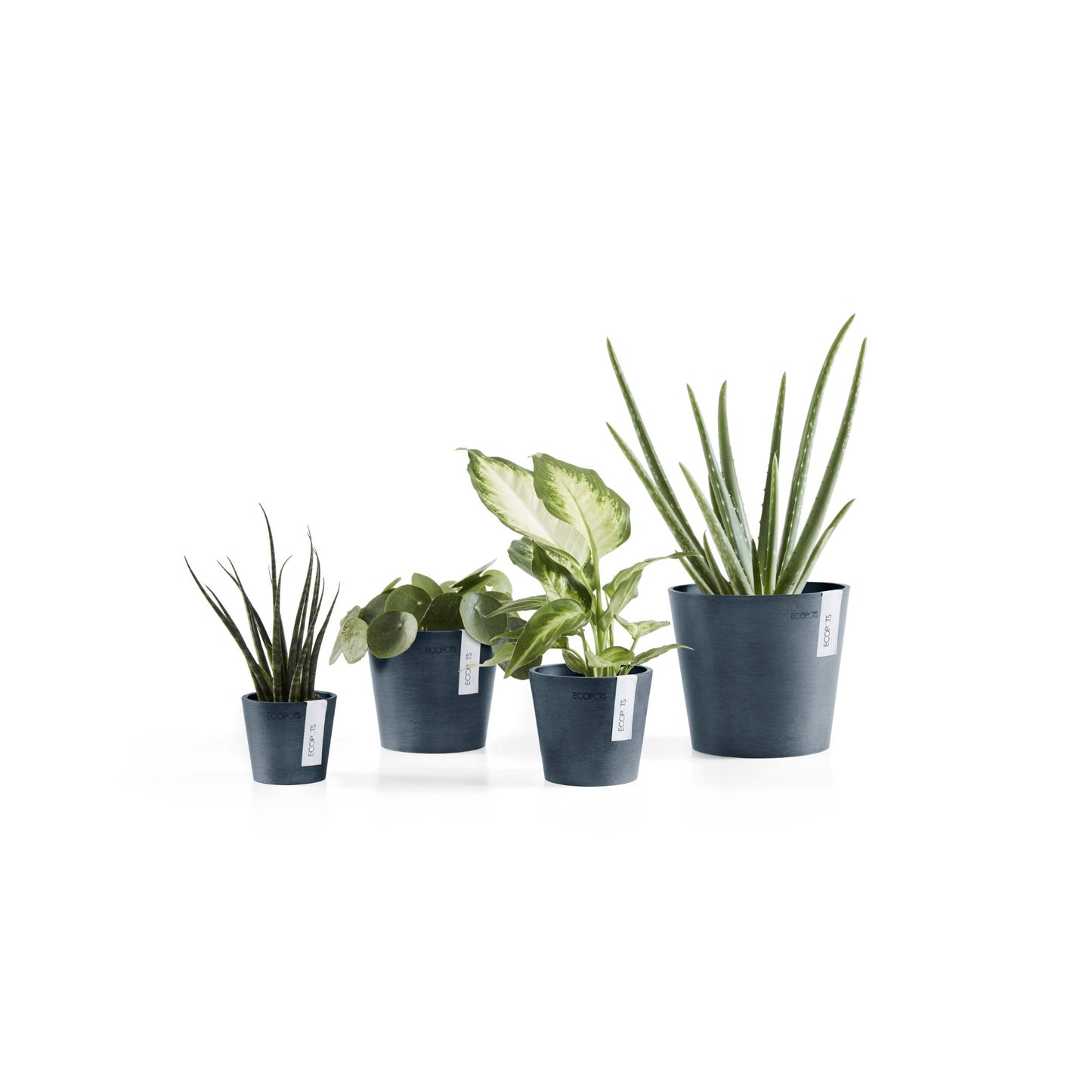 Kukkaruukku - Ecopots - Amsterdam 8cm tummansininen - Ecopotskauppa - Uuden aikakauden kukkaruukku