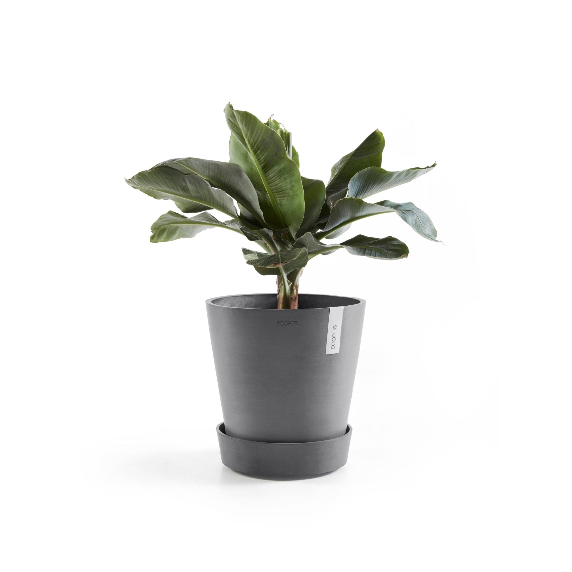 Kukkaruukku - Ecopots - Amsterdam aluslautanen pyörillä 40cm harmaa - Ecopotskauppa - Uuden aikakauden kukkaruukku