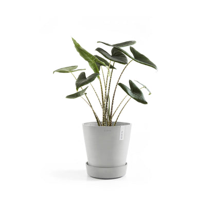 Kukkaruukku - Ecopots - Amsterdam aluslautanen pyörillä 40cm valkoharmaa - Ecopotskauppa - Uuden aikakauden kukkaruukku