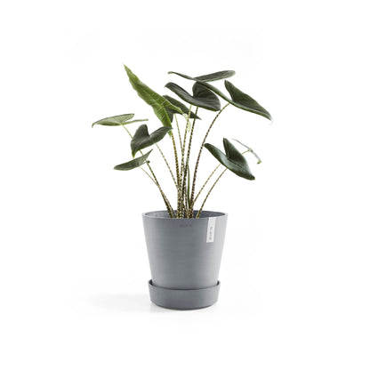 Kukkaruukku - Ecopots - Amsterdam aluslautanen pyörillä 50cm siniharmaa - Ecopotskauppa - Uuden aikakauden kukkaruukku