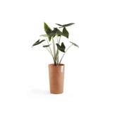 Kruka Amsterdam medelhög 50cm terrakotta