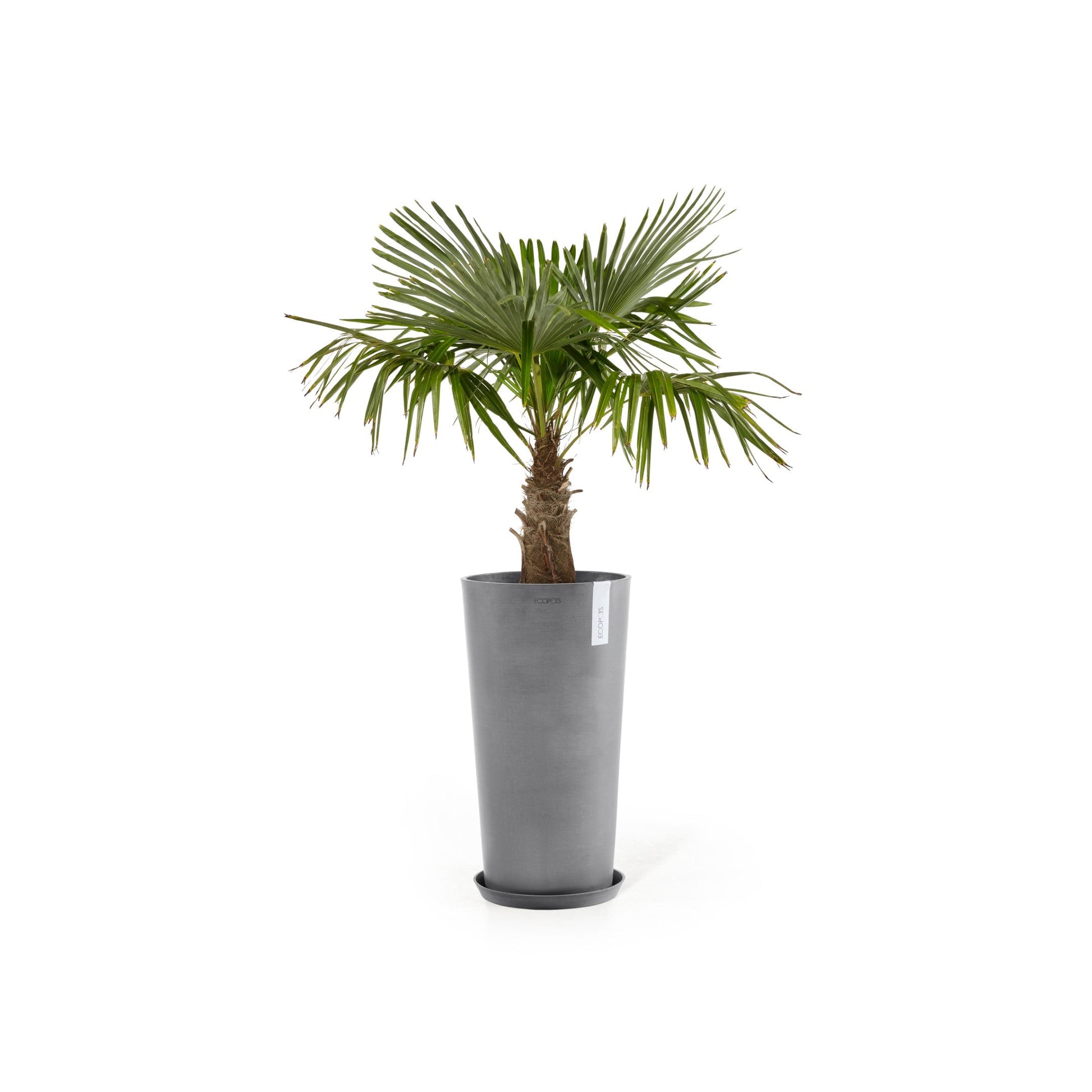 Kukkaruukku - Ecopots - Amsterdam keskikorkea 66cm harmaa - Ecopotskauppa - Uuden aikakauden kukkaruukku