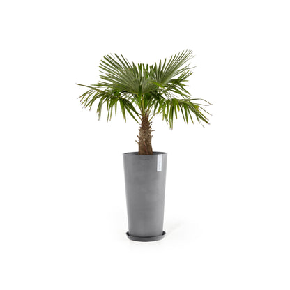 Kukkaruukku - Ecopots - Amsterdam keskikorkea 66cm harmaa - Ecopotskauppa - Uuden aikakauden kukkaruukku