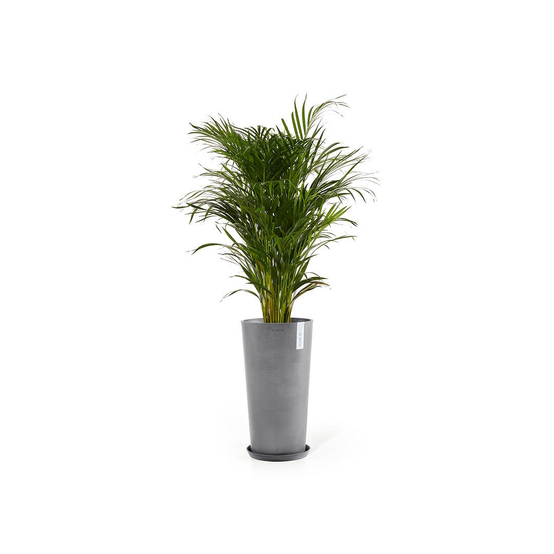 Kukkaruukku - Ecopots - Amsterdam korkea 70cm harmaa - Ecopotskauppa - Uuden aikakauden kukkaruukku