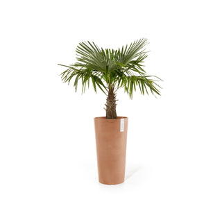 Kruka Amsterdam hög 76cm terrakotta