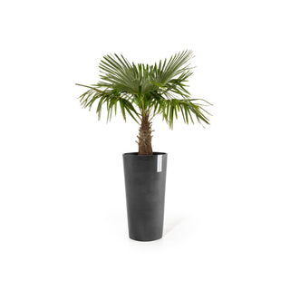 Kruka Amsterdam hög 76cm mörkgrå