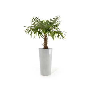 Kruka Amsterdam hög 76cm vitgrå
