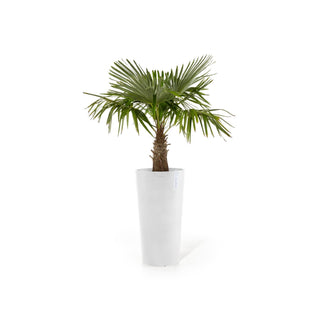 Kruka Amsterdam hög 76cm vit