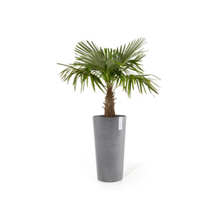 Kruka Amsterdam hög 90cm grå