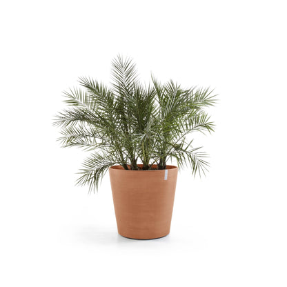 Kukkaruukku Amsterdam pyörillä 80cm terracotta – kasvin kanssa