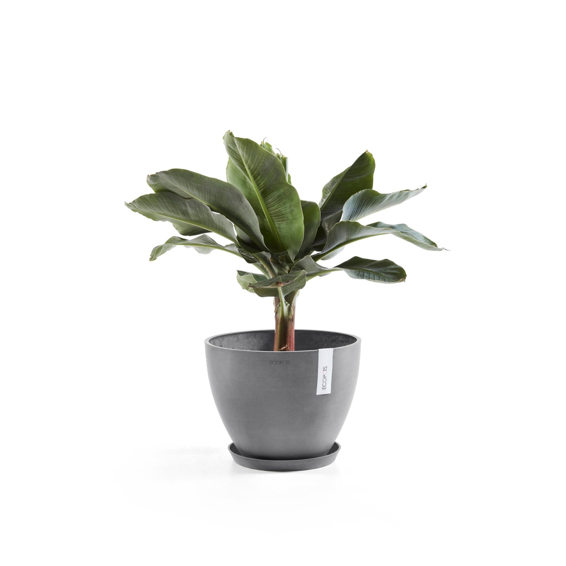 Kukkaruukku - Ecopots - Antwerpen 40cm harmaa - Ecopotskauppa - Uuden aikakauden kukkaruukku