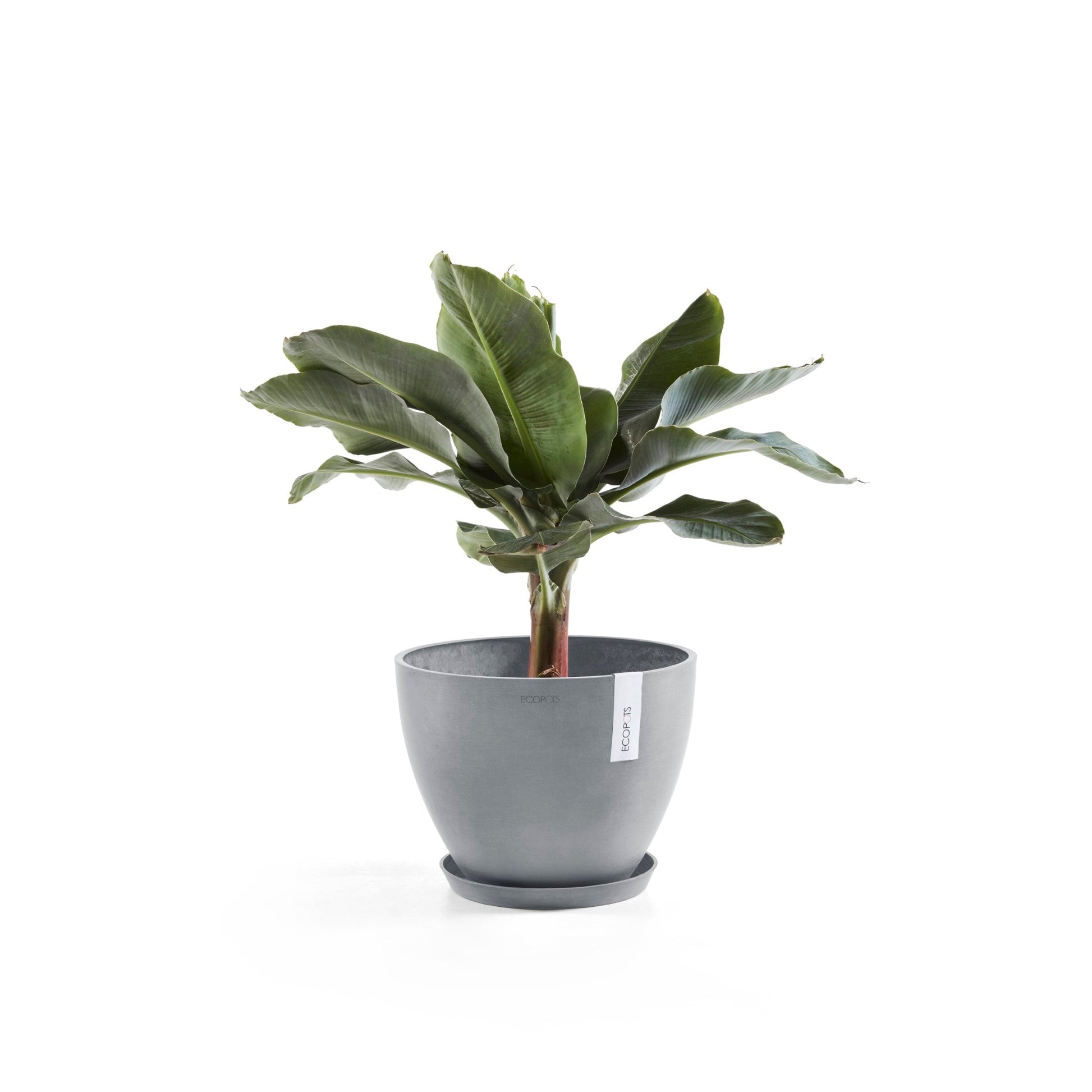 Kukkaruukku - Ecopots - Antwerpen 40cm siniharmaa - Ecopotskauppa - Uuden aikakauden kukkaruukku