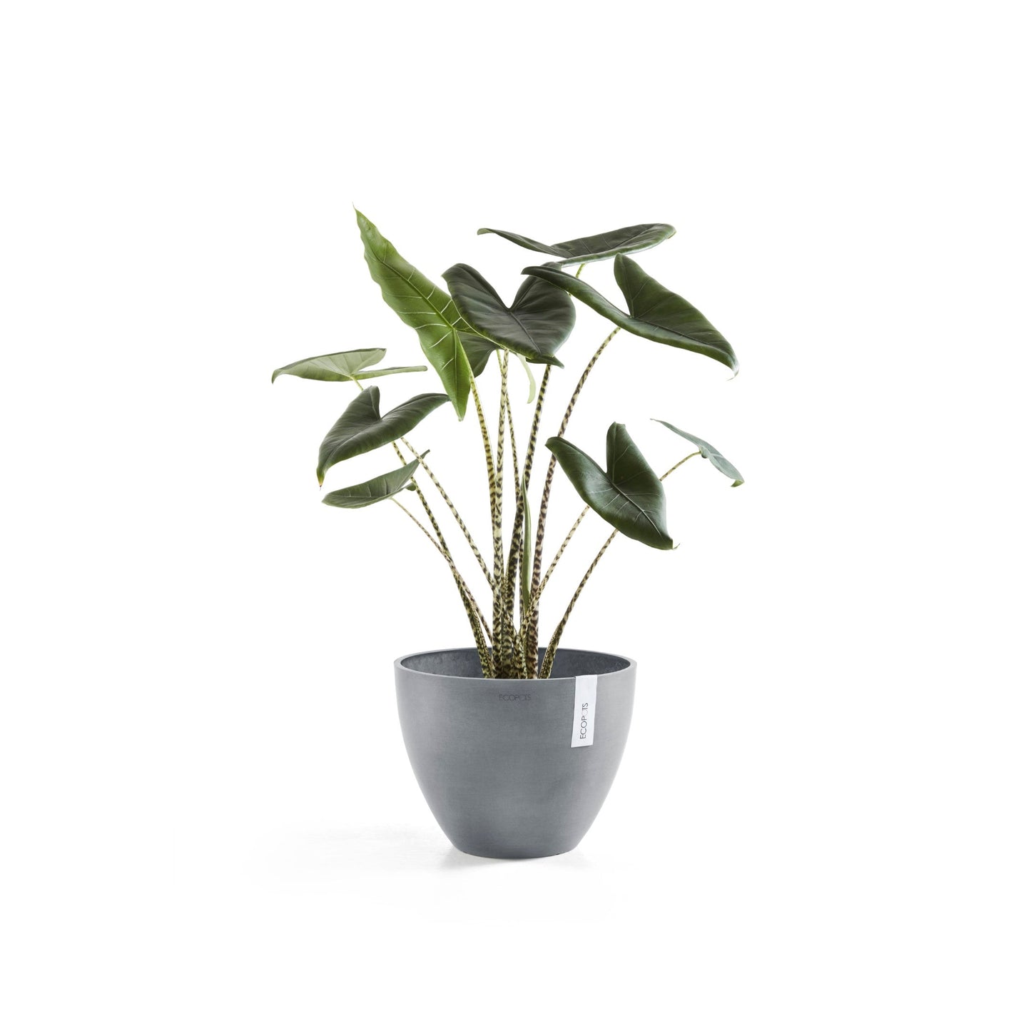 Kukkaruukku - Ecopots - Antwerpen 40cm siniharmaa - Ecopotskauppa - Uuden aikakauden kukkaruukku