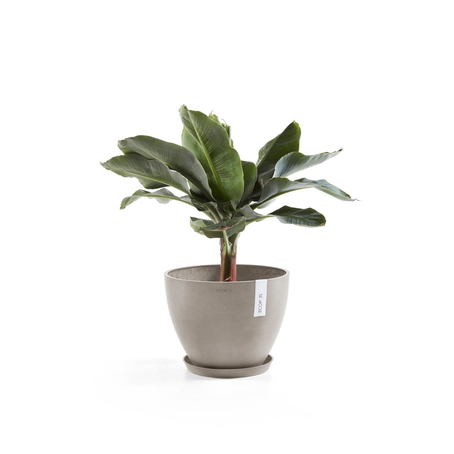 Kukkaruukku - Ecopots - Antwerpen 40cm taupe - Ecopotskauppa - Uuden aikakauden kukkaruukku