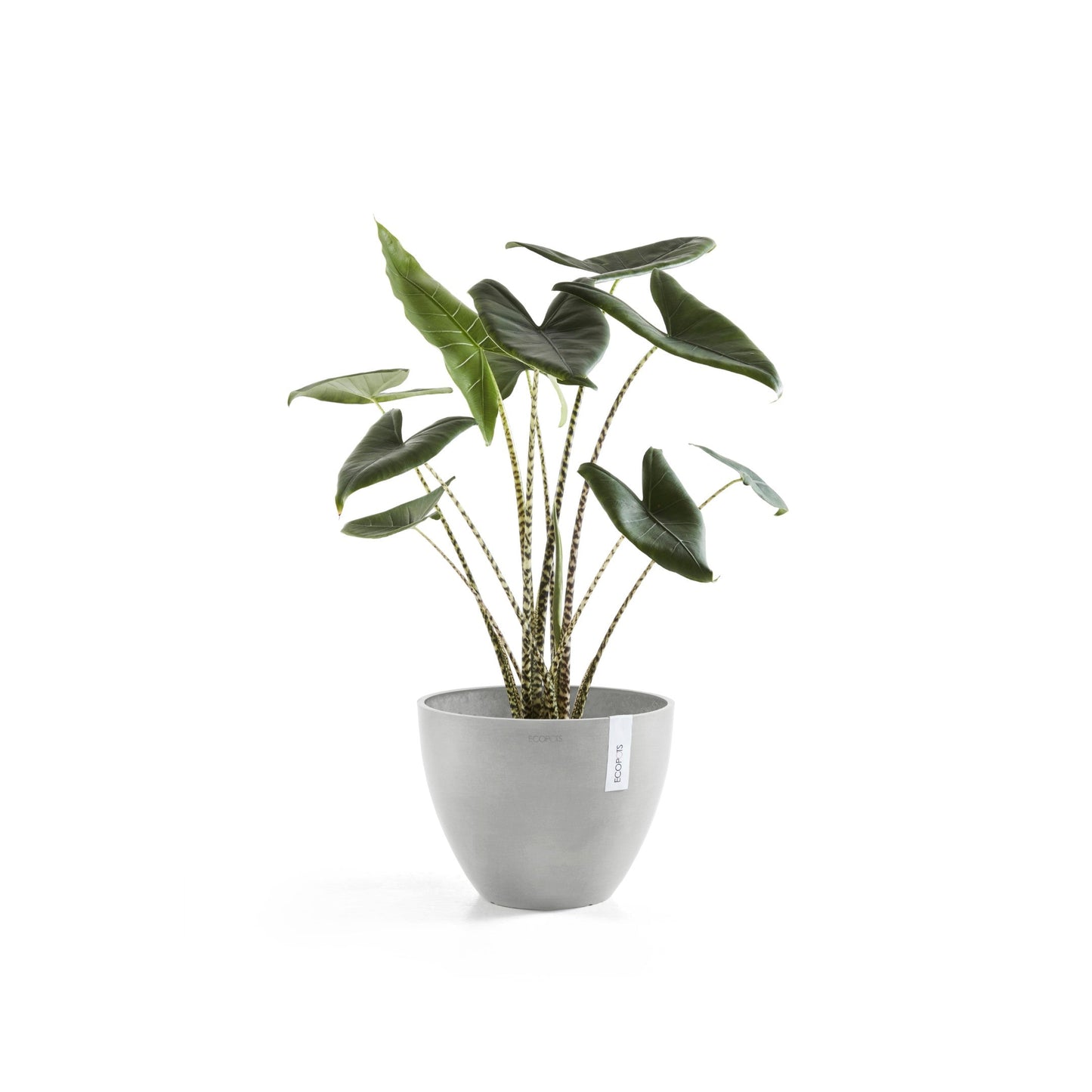 Kukkaruukku - Ecopots - Antwerpen 40cm valkoharmaa - Ecopotskauppa - Uuden aikakauden kukkaruukku