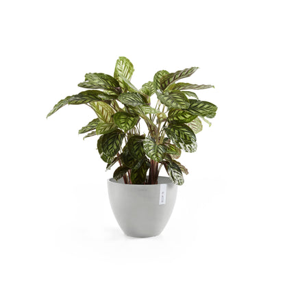 Kukkaruukku - Ecopots - Antwerpen 40cm valkoharmaa - Ecopotskauppa - Uuden aikakauden kukkaruukku